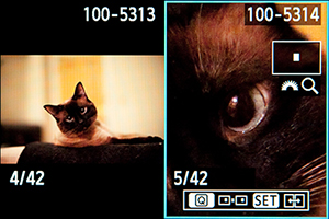 Canon 5D Mark III Mk 3 comparative playback side by side image review